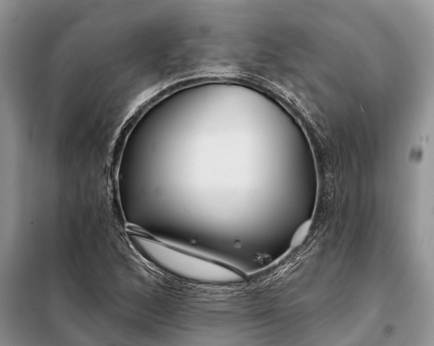 X0000097971168200804071050