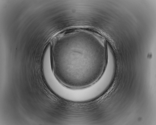 X0000097971169200804071050