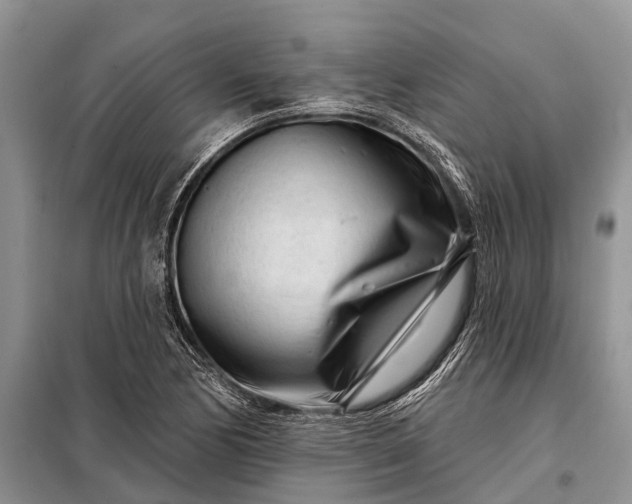 X0000097971170200804071050