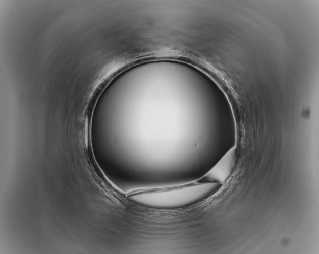 X0000097971171200804071050