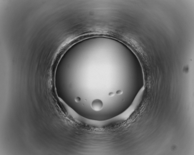 X0000097971172200804071050