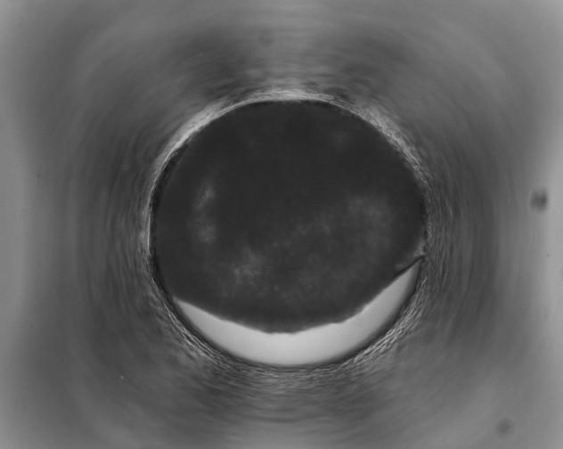 X0000097971173200804071050