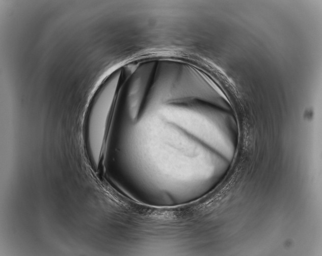 X0000097971174200804071050