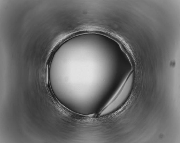 X0000097971175200804071050