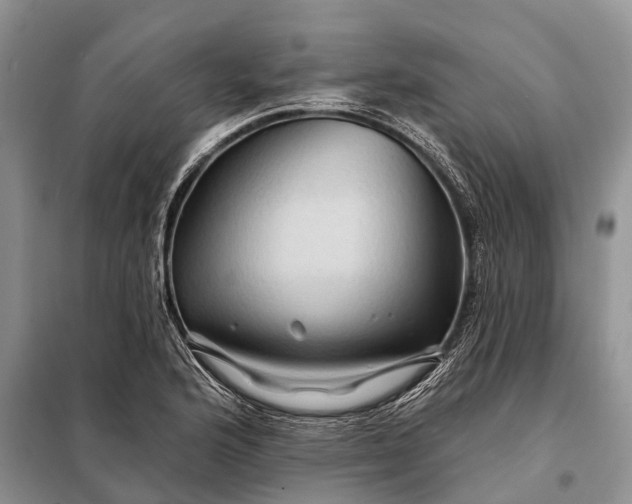 X0000097971176200804071050