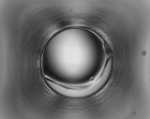 X0000097971177200804071050