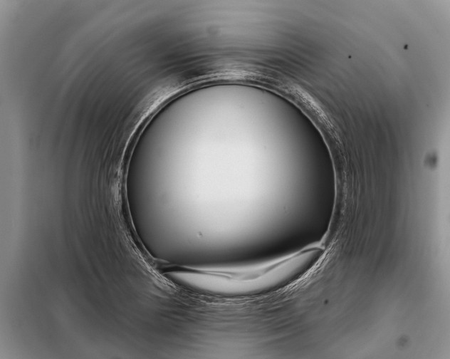 X0000097971178200804071050