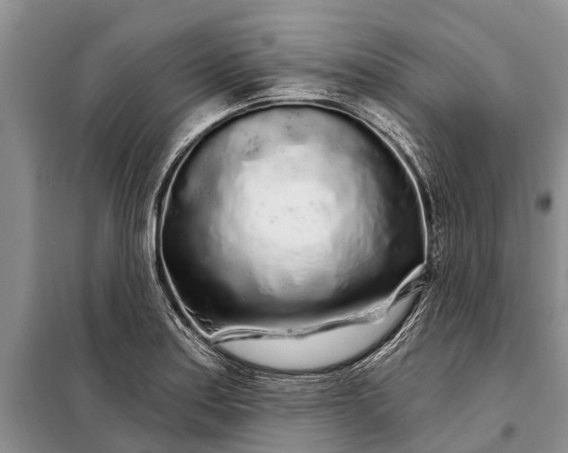 X0000097971179200804071050