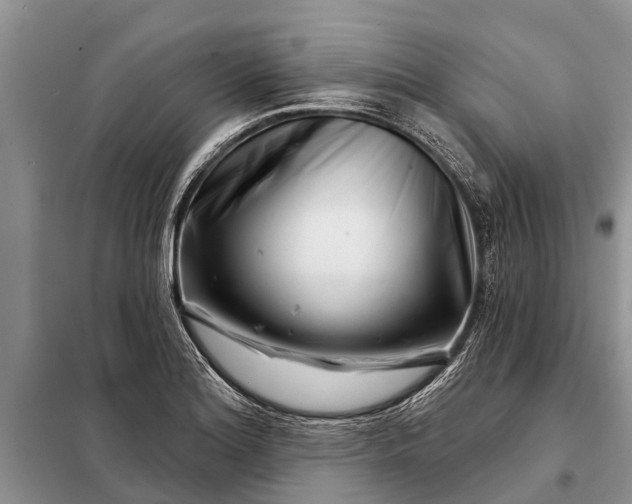 X0000097971180200804071050