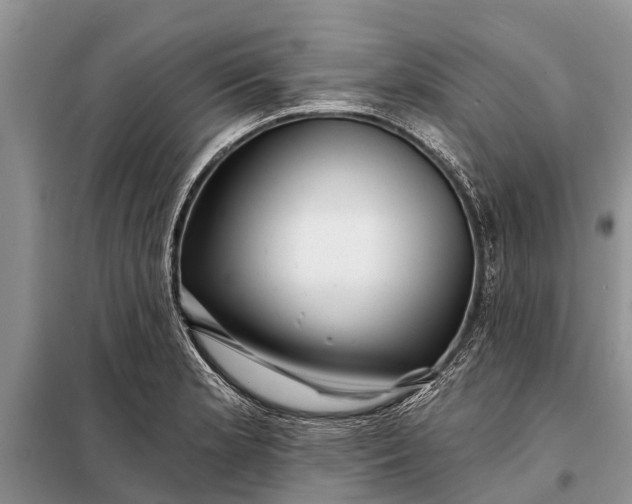 X0000097971181200804071050