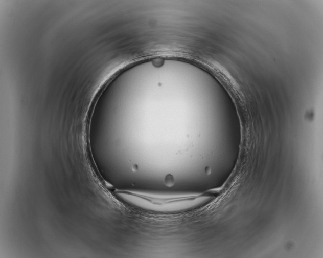 X0000097971182200804071050