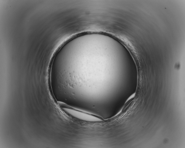 X0000097971183200804071050