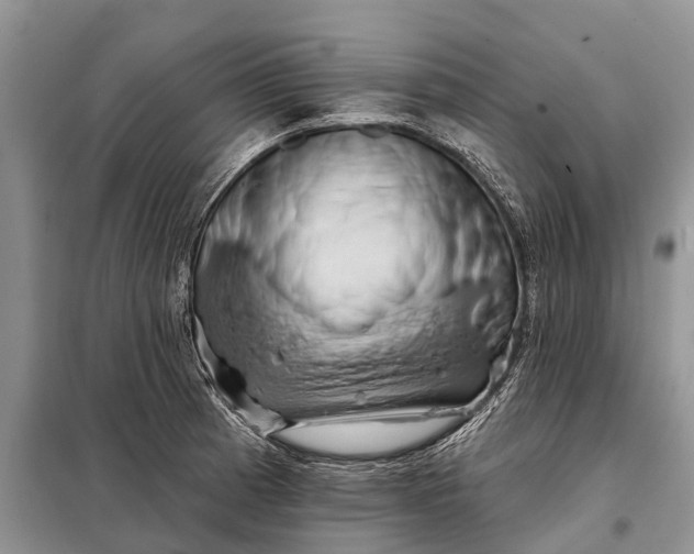 X0000097971185200804071050