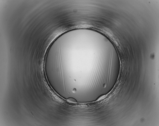 X0000097971186200804071050