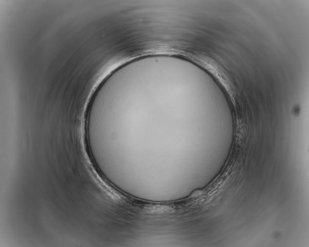 X0000097971187200804071050