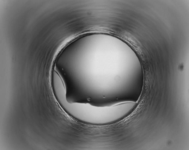 X0000097971188200804071050