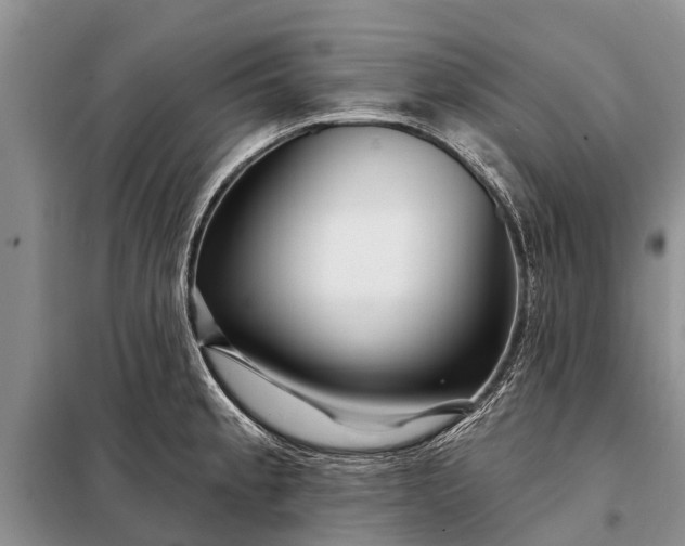 X0000097971189200804071050