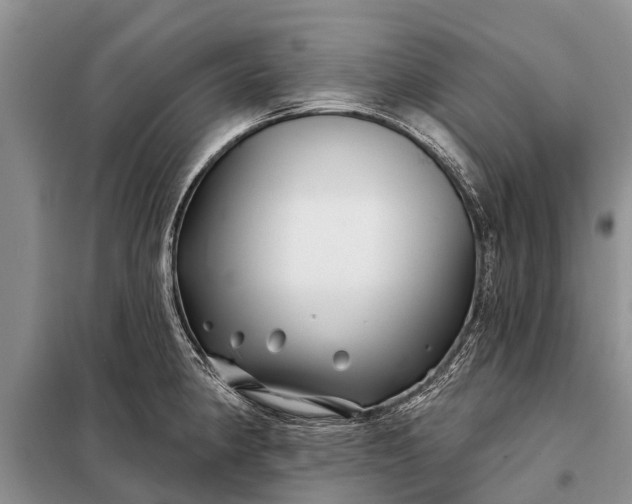 X0000097971190200804071050