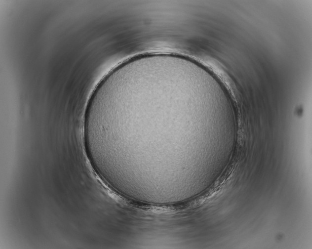 X0000097971191200804071050