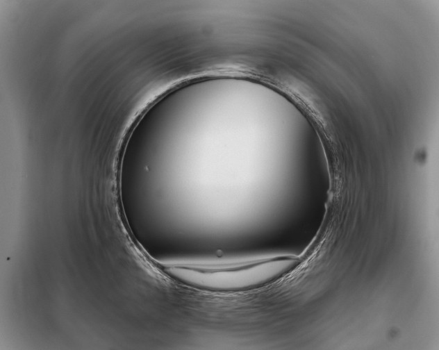 X0000097971192200804071050