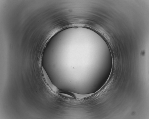 X0000097971193200804071050