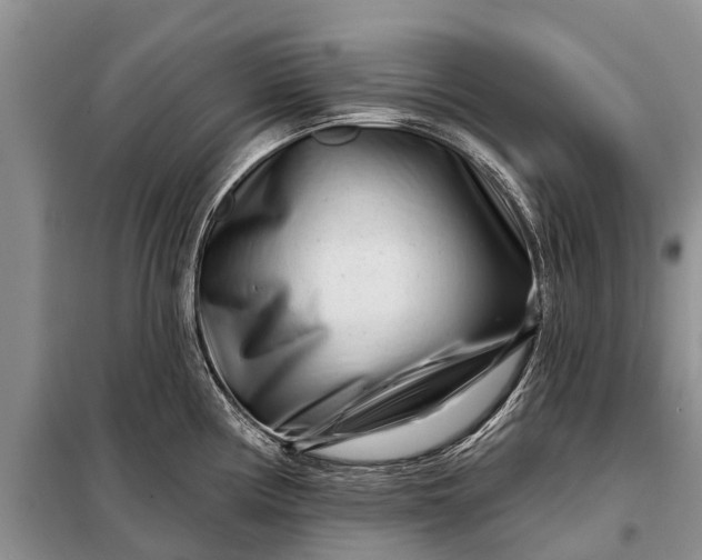 X0000097971194200804071050