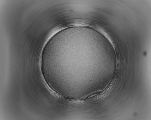 X0000097971195200804071050