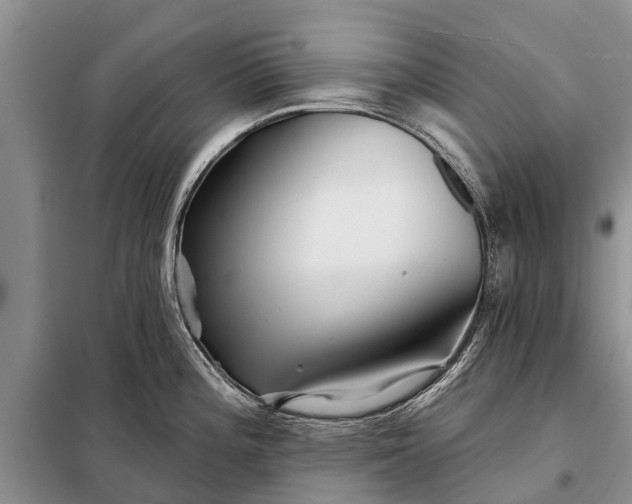 X0000097971196200804071050