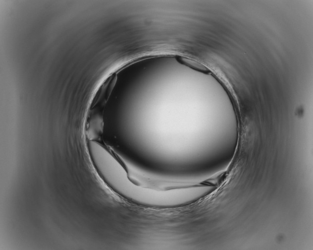 X0000097971197200804071050