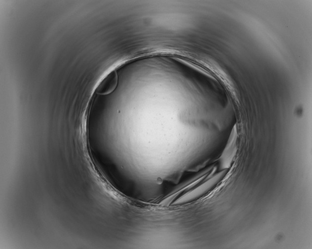 X0000097971198200804071050