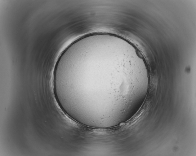 X0000097971199200804071050