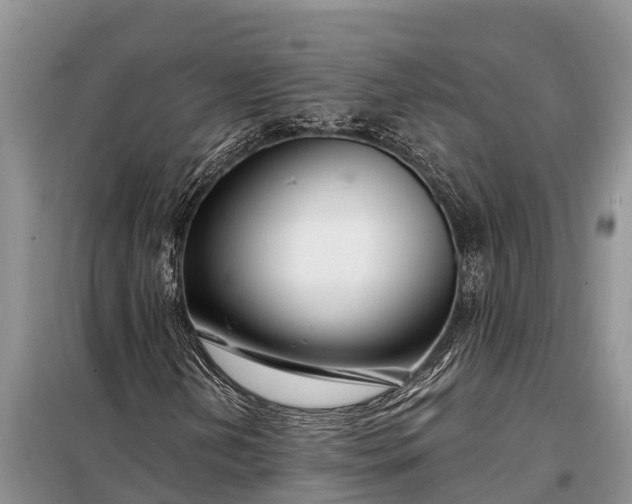 X0000097971202200804071049