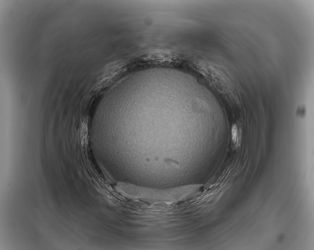 X0000097971203200804071049