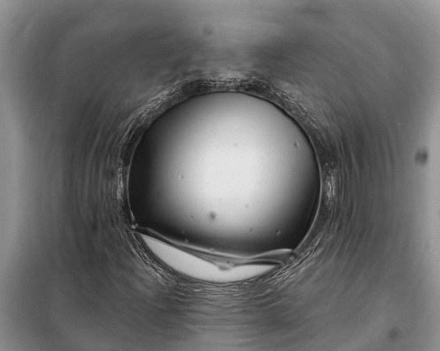 X0000097971204200804071049