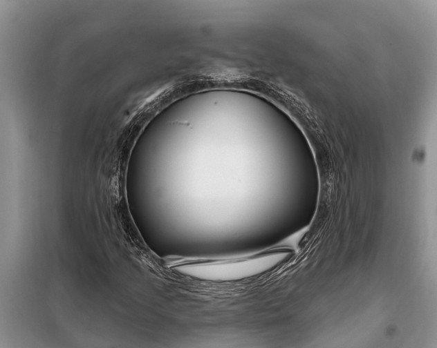 X0000097971205200804071049