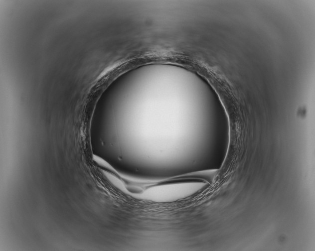 X0000097971206200804071049