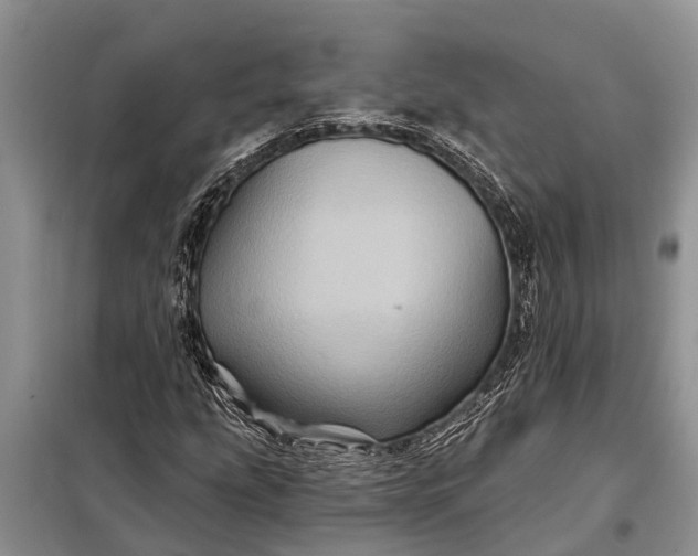 X0000097971207200804071049