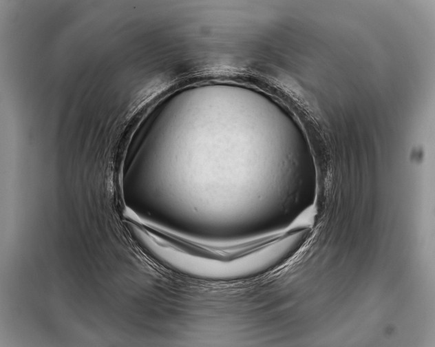 X0000097971209200804071049