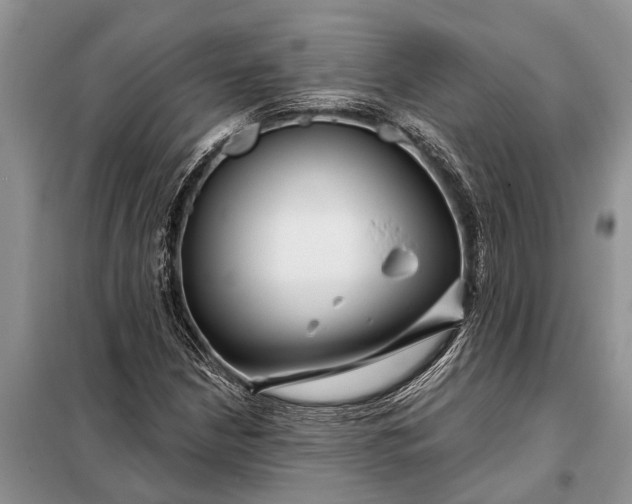 X0000097971210200804071049