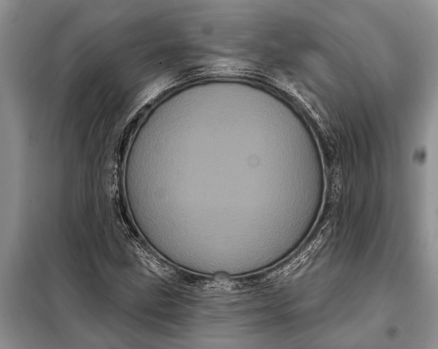 X0000097971211200804071049