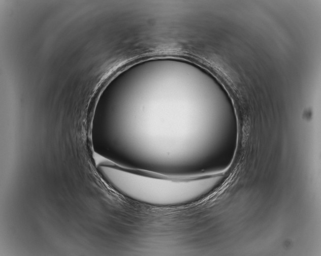 X0000097971212200804071049