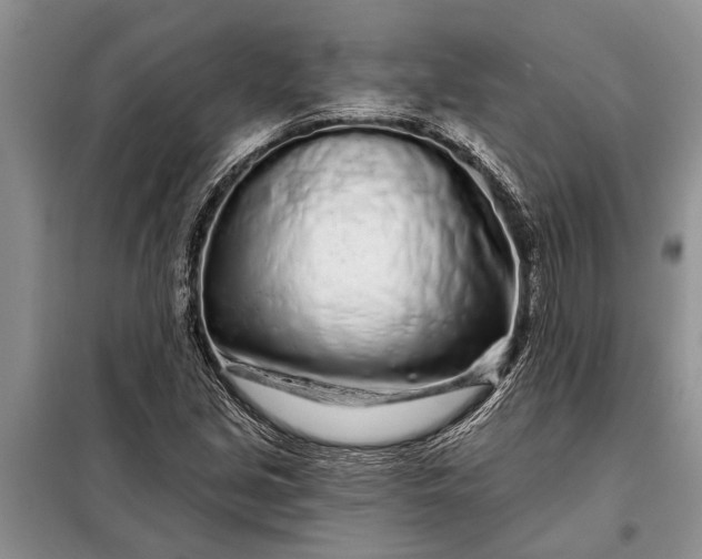 X0000097971213200804071049