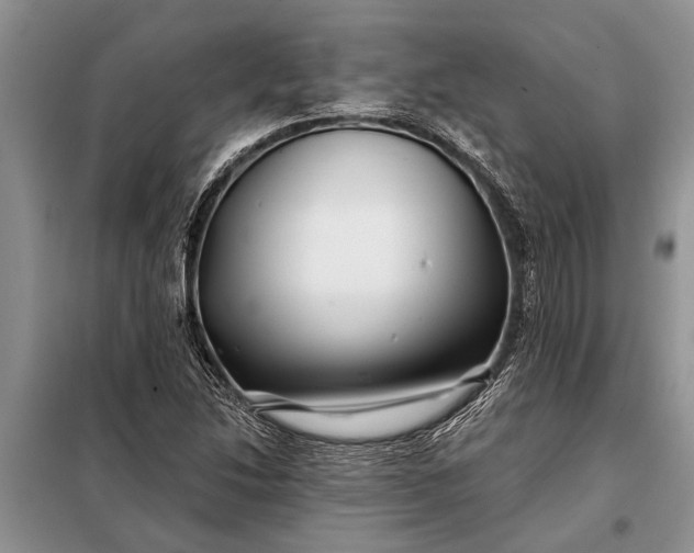 X0000097971214200804071049