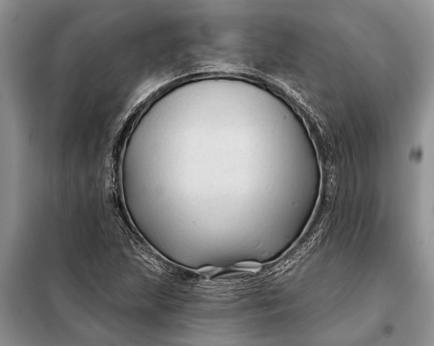 X0000097971215200804071049