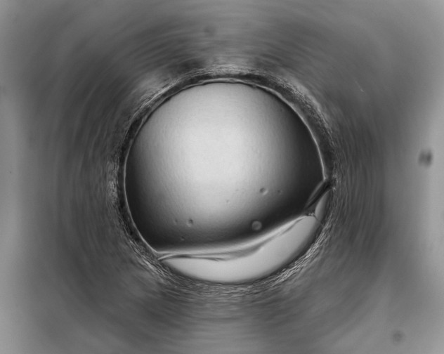 X0000097971217200804071049