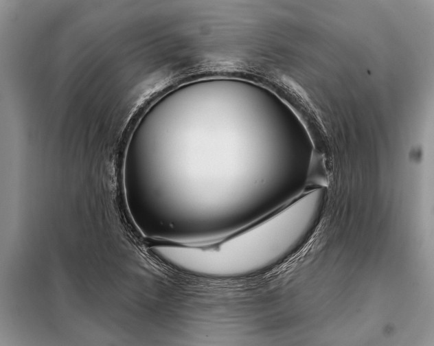 X0000097971218200804071049