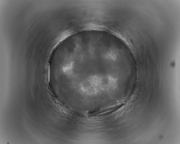 X0000097971219200804071049