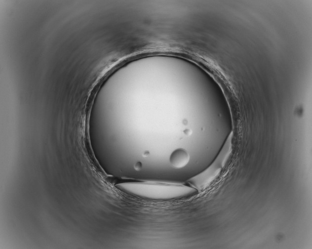 X0000097971220200804071049