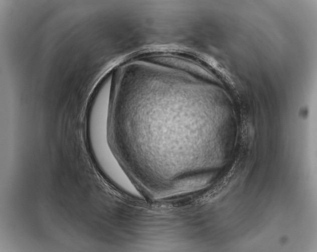 X0000097971221200804071049