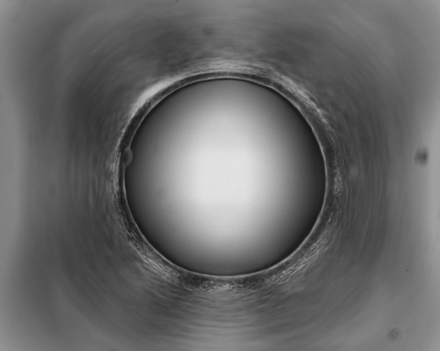 X0000097971222200804071049